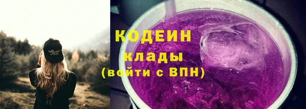 прущие грибы Медвежьегорск