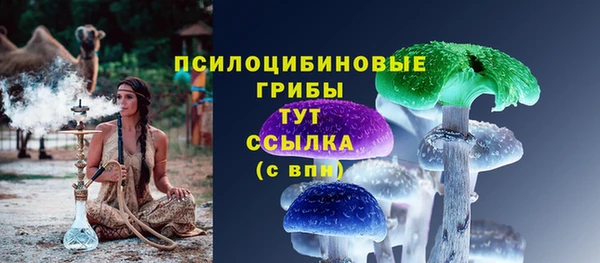 молекула духа Беломорск
