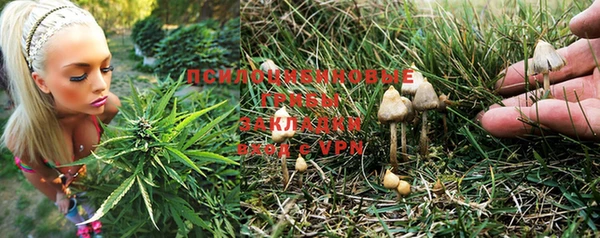 прущая мука Михайловск