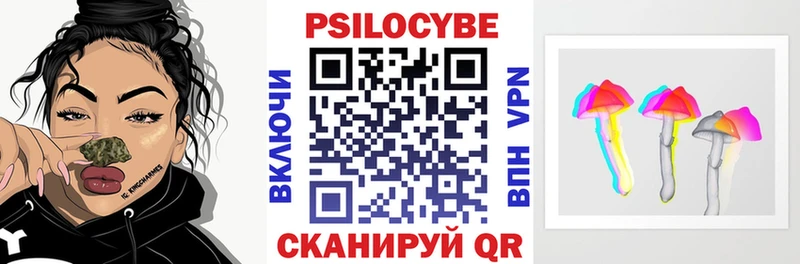купить закладку  Гусиноозёрск  Псилоцибиновые грибы Psilocybe 